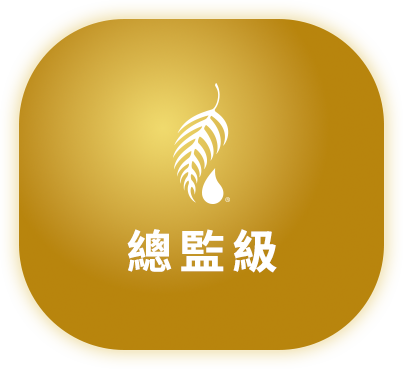 總監級