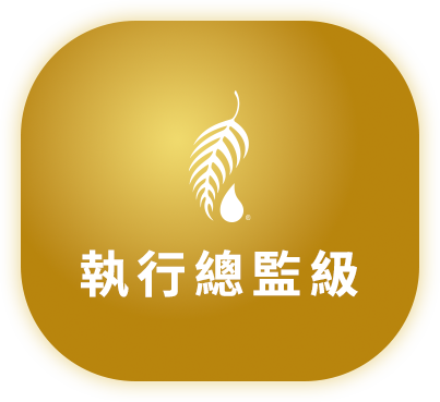 執行總監級