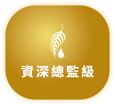 資深總監級